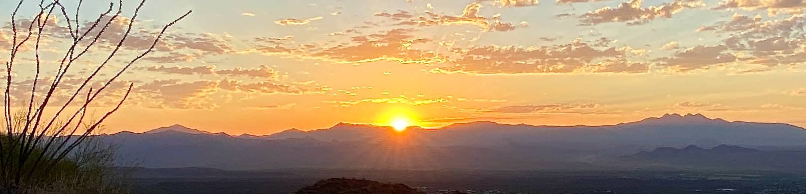 Sunrise over desert mountains, with an ocotillo branch in the foreground.